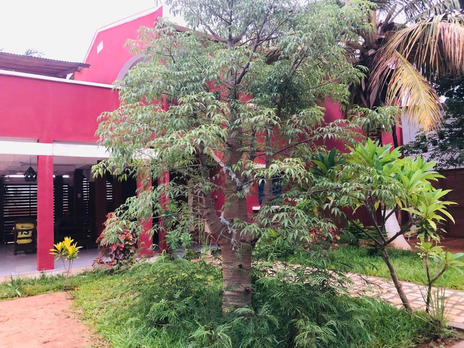 Bohobe Naboty Bed and Breakfast Τολιάρα Εξωτερικό φωτογραφία